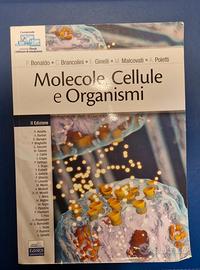 libro biologia semestre filtro (senza segni)