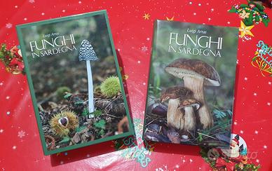 Funghi in Sardegna 