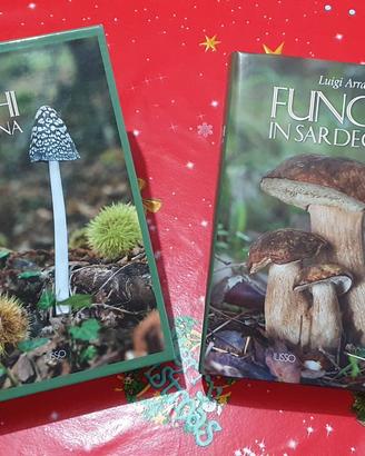 Funghi in Sardegna 