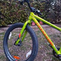 SPLENDIDA CANNONDALE DA 24