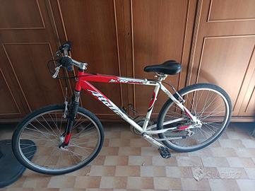 bicicletta ragazzo 