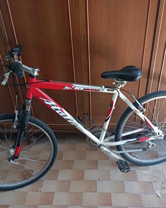 bicicletta ragazzo 
