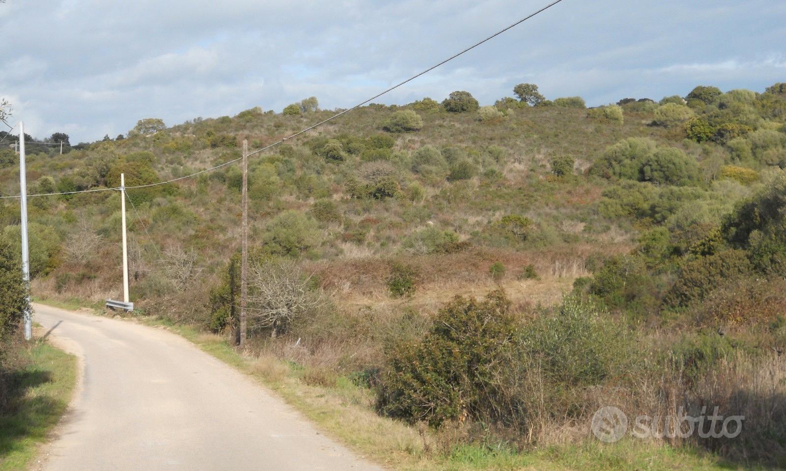 Terreno agricolo - Vista 3