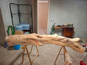tronco di Ginepro