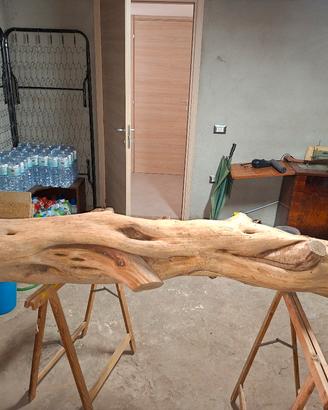 tronco di Ginepro