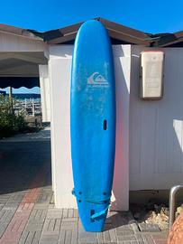 Tavola surf quicksilver