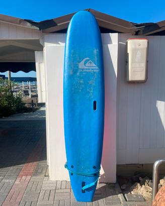 Tavola surf quicksilver
