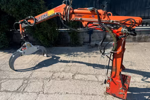 A161 BRACCIO CON PINZA FORESTALE - GRU