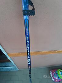 canna da pesca bolognese 