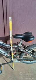 bicicletta 