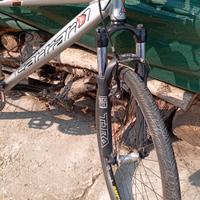 Bicicletta da donna e panca palestra