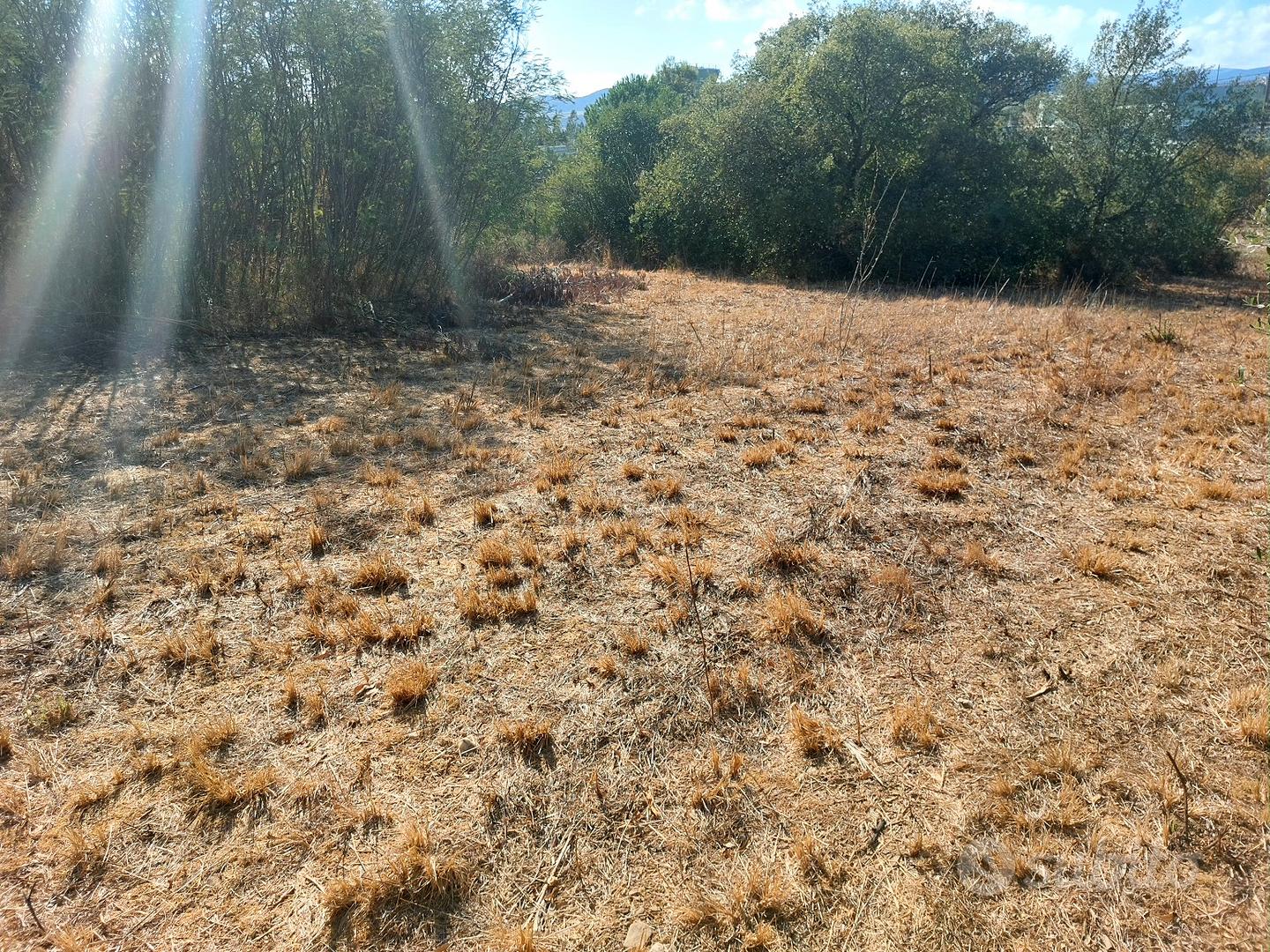 Terreno agricolo in buona posizione - Vista 3