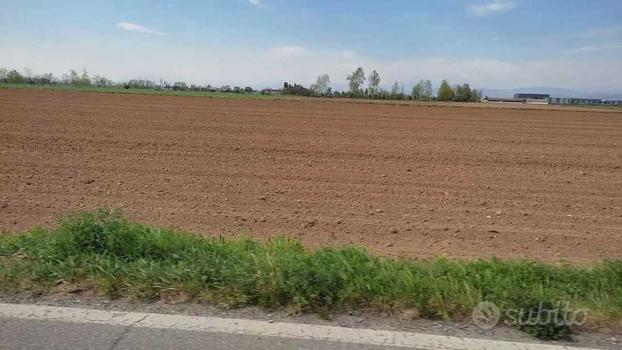 Terreno Agricolo Venafro [Cod. rif 3113230VRG]