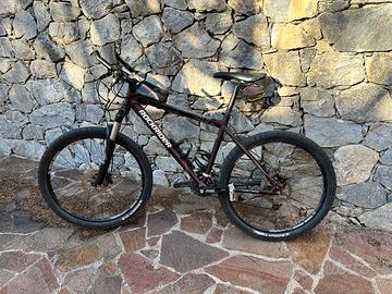 Bici rockeider 26