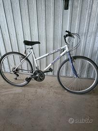 Bicicletta Bianchi