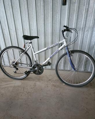 Bicicletta Bianchi