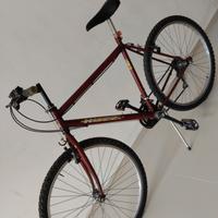 bici da 26 uomo