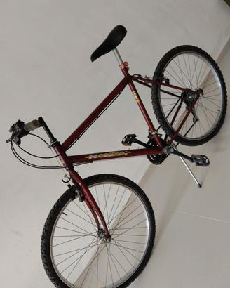 bici da 26 uomo