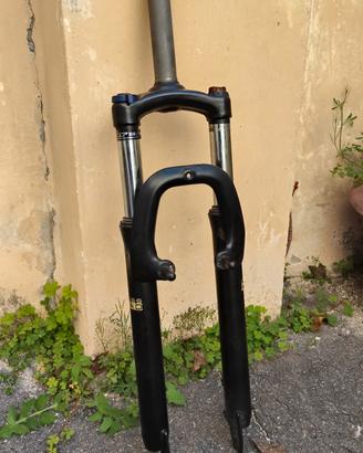 forcella anteriore 29"
