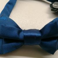 Papillon Harmont&Blaine