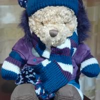 Peluche Winnie the Pooh Limited Edition 