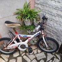 bici Mountain bike bimbo/a 6-8 anni