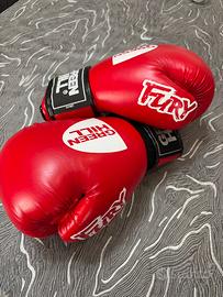 Guanti da Boxe Green Hill