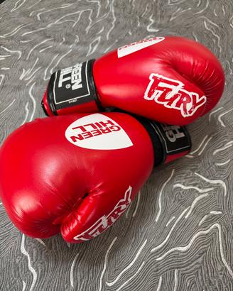 Guanti da Boxe Green Hill