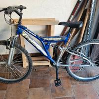 Bici mountain bike