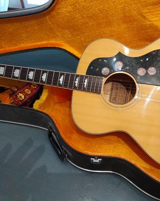 ibanez concord 58098