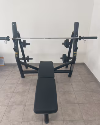 Panca piana Techogym - come nuova -