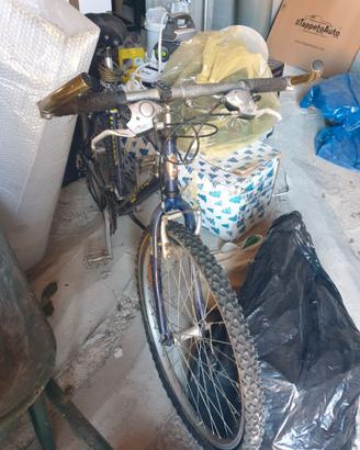 Bicicletta MTB legnano x fire