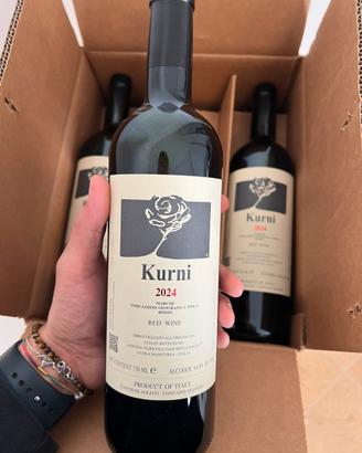 Kurni 2024