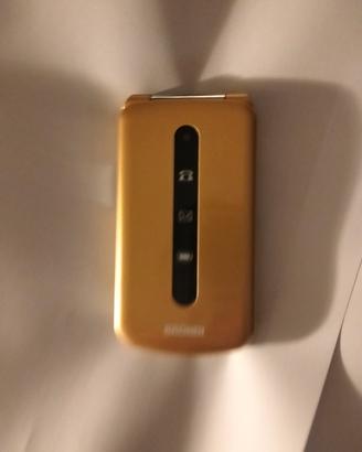 coppia cellulari brondi