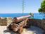 Immagine 12