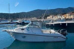 Barca Striper 2101 wa con motore suzuki 200 cv