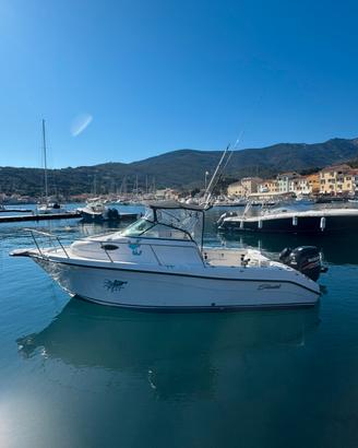 Barca Striper 2101 wa con motore suzuki 200 cv