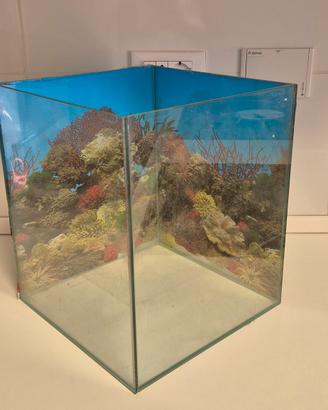 Acquario 
