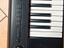 Immagine 3