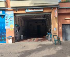 Autolavaggio a mano