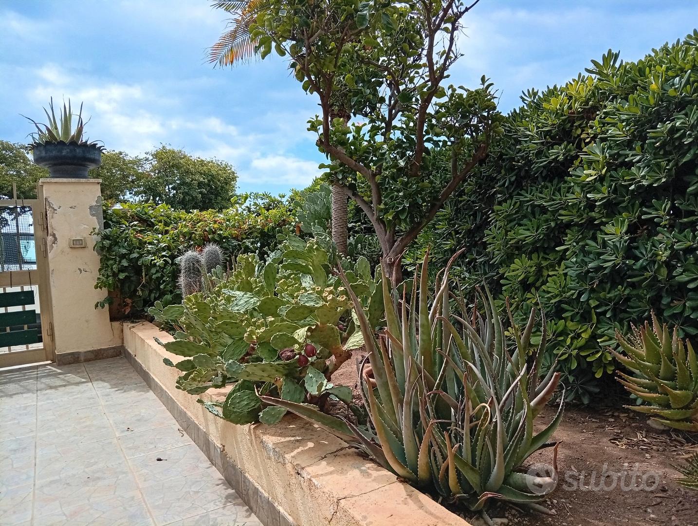 Appartamento – Ragusa, Marina di Ragusa - Vista 2