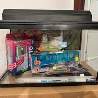 Acquario piccolo usato