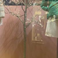 Alberto con luci integrate