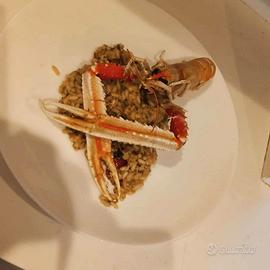 Chef,personal chef,house manager