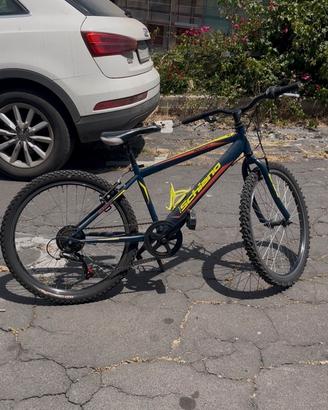 mountain bike F.lli schiano rocket/ ruote 24” /26”
