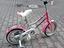 Immagine 2