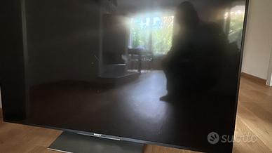 Sony KD-55X8005C NON funzionante