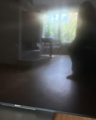 Sony KD-55X8005C NON funzionante