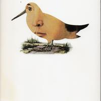 Sebastiano Vassalli, Un infinito numero, 1° ediz