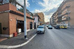 Locale vigne nuove uso investimento